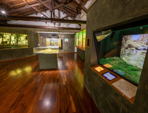 Il Comune di Capranica con il suo Museo Civico Naturalistico dei Monti Prenestini entra a far parte del Museumgrandtour.
